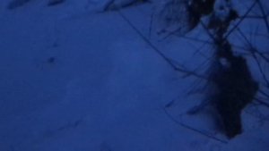 Зимняя рыбалка на Алтае 29 01 2018