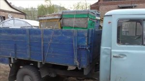 перевозка пчёл