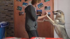 Танцы с волками.mp4