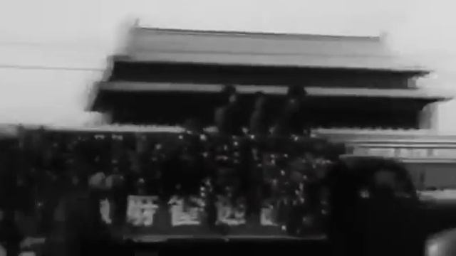 Шокирующее видео про воробьев смотреть онлайн