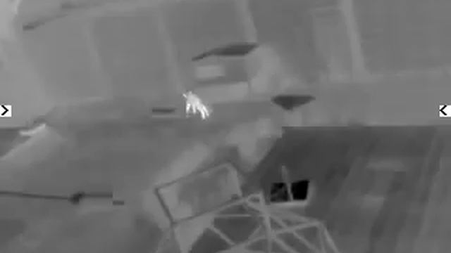 Fox смотреть онлайн