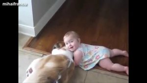 Собаки любят детей!!! подборка