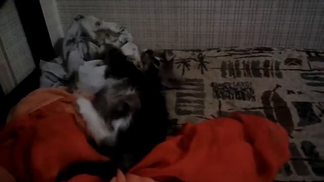 Когда перемеряла весь шкаф, а надеть НЕЧЕГО!!! смотреть онлайн