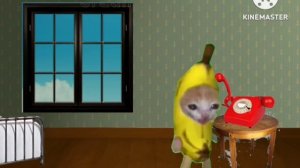 Банановый кот мем в 1971 году