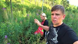 Про лесные и домашние запасы