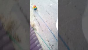 Мазда 626 ge стучат гидрокомпенсаторы.Одна из причин.