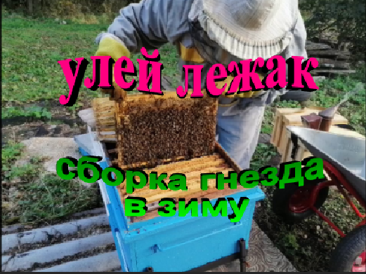 Улей лежак. Сборка гнезда в зиму. Закорм. смотреть онлайн