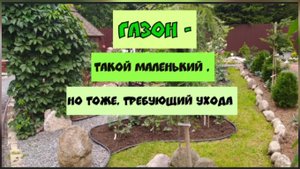 Газон - такой маленький, но тоже требующий ухода.