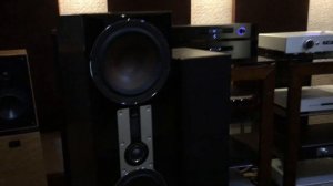 Dali Opticon 8 + Emotiva