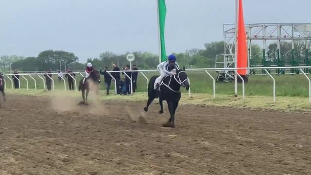 Скачки в Майкопе