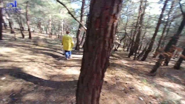 Пляж Сосновка || Проход к морю через сосновый лес || Достопримечательности Геленджика