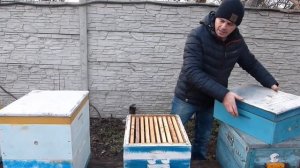 Какой улей лучше. Наш выбор улья рогатый улей Паливоды. 10-рамочный Дадан с магазинами на 145 рамку