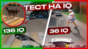 МотоБудни #36: ТЕСТ НА IQ