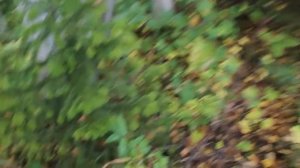 ШОК! ОСТАНКИ ДОВОЕННОЙ ЗОЛОТОДОБЫЧИ в тайге, АБВГАТ.