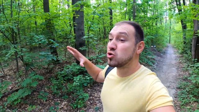 Муравьи съели Курицу  Муравьиная ферма разбежалась по дому  у хасмут новые питомцы