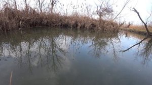 рыбалка в декабре 50м от дома Курчанский лиман Краснодарский край