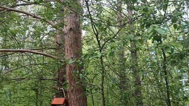 1000008127.mp4