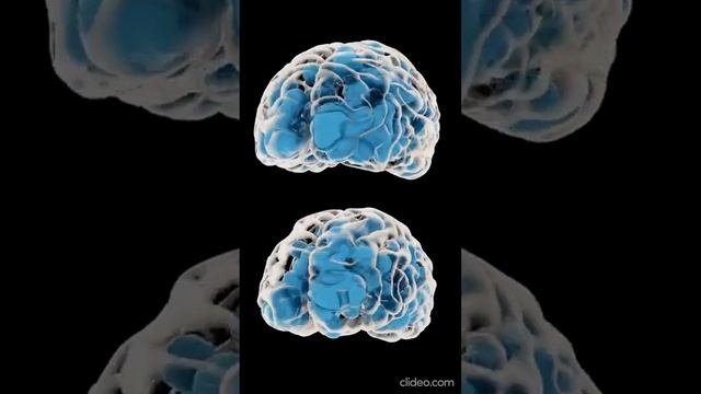 SUPLEMENTAÇÃO COM L-RELAX - L-TRIPTOFANO MAIS COMPLEXO B смотреть онлайн