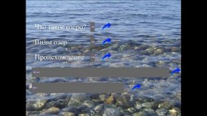 экосистема озера 3 класс презентация