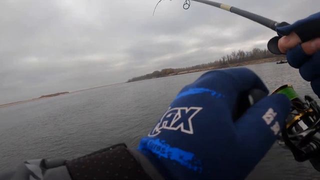 5 трофеейных судаков за одну рыбалку!!