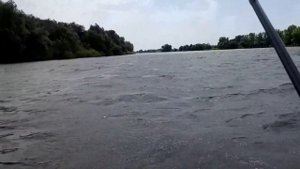 Видео конкурс . Сом на спиннинг . Рыбалка на реке АШУЛУК !!!
