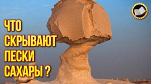 Пустыня Сахара. Удивительные факты о пустыне Сахара. Великая цивилизация Сахары