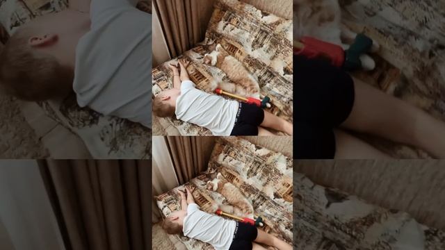 СОН КОТИКА ОЧЕНЬ ВАЖЕН. Для ночных игр смотреть онлайн