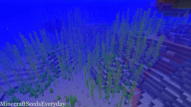 Minecraft Java 1.16 Seed: Savanna island village with underwater ruined portal at spawn смотреть онлайн