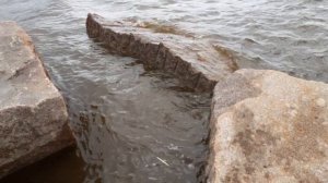 Ленинградская область. Лисий нос, Ольгино.