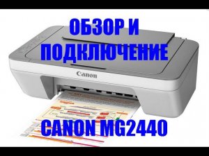 МФУ Canon Pixma MG2440. Обзор и подключение