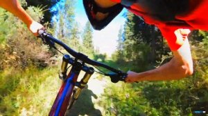 #GoPro Шамшы прохватил по лесу на двух подвесе