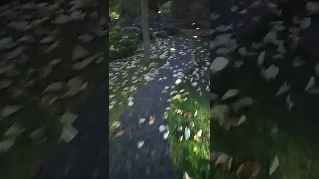 Ремонт светильника встраиваемого в брусчатку (2 часть). смотреть онлайн