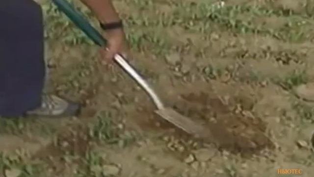 ГРАНДИОЗНЫЕ НАХОДКИ АРХЕОЛОГОВ И ОБЫЧНЫХ СЧАСТЛИВЦЕВ!!! смотреть онлайн