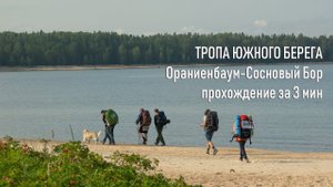 Прохождение Тропы Южного берега (участок Ораниенбаум-Сосновый Бор)