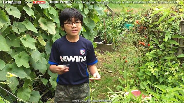 It Was Forbidden To Look At Chinese Emperor's Face! How Did The Legendary Malaysian Hang Tuah Do It смотреть онлайн