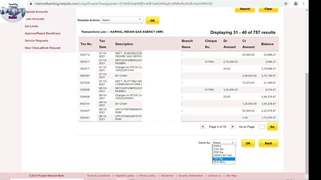 How to Download PNB Account Statement Online in PDF/EXCEL Format | pnb bank acount statement online смотреть онлайн