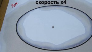 Рефтамид от клещей: максимум защиты от паразитов | Тест эффективности препарата