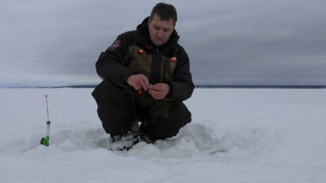 Зимняя Рыбалка на реке. ХИТРЫЕ ПОСТАВУШКИ. Ловля судака на тюльку 20 февраля 2024