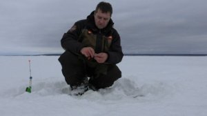 Зимняя Рыбалка на реке. ХИТРЫЕ ПОСТАВУШКИ. Ловля судака на тюльку, 20 февраля 2024