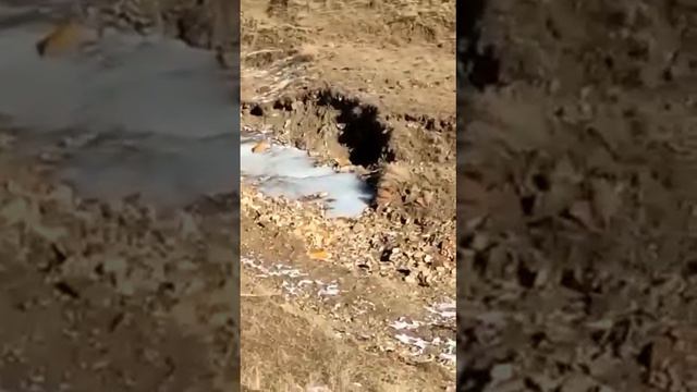 Проблема с Водой В Шамильском районе,Обращение к главе РД с просьбой обратить внимание