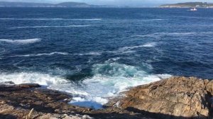 Шум океана. Белый шум. Море. Sea. White noice.