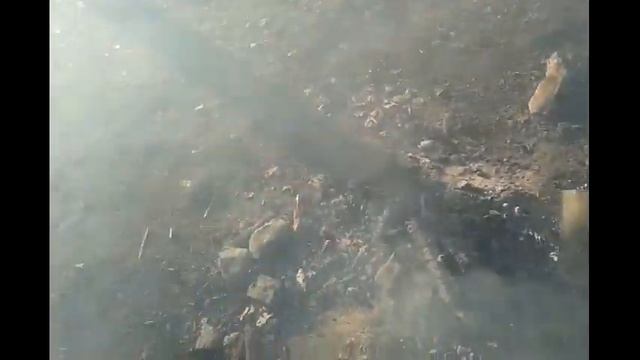 Готовим с Ярославом. Запечённая картошка. смотреть онлайн