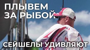 В ПУТИ НА НОВЫЙ ОСТРОВ ЛОВИМ РЫБУ В ОТКРЫТОМ МОРЕ | GOLD MARLIN