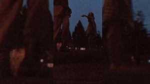 Молодые Ветра (Remix)