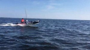 неман 2 yamaha15