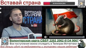 Компромат на МЫШИКА. Навальнист, змгар, либерал.