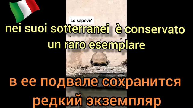ЧЕРЕП С УШАМИ В НЕАПОЛЕ. ИТАЛЬЯНСКИЕ СУБТИТРЫ.  АУДИРОВАНИЕ  итальянского С НОСИТЕЛЕМ