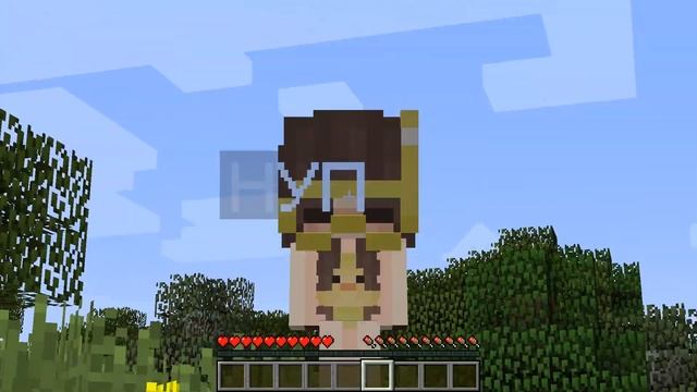 ? КАК МЕНЯЛАСЬ ДЕВУШКА УТКА И ЕЁ ЖИЗНЕННЫЙ ЦИКЛ МАЙНКРАФТ! смотреть онлайн