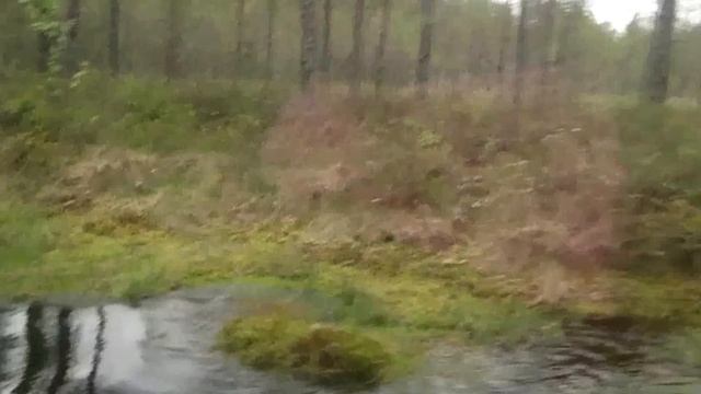 длинная лужа в районе Ала-Толвоярви. смотреть онлайн