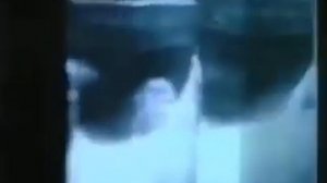 Сила изречённого слова — Грегг Брейден